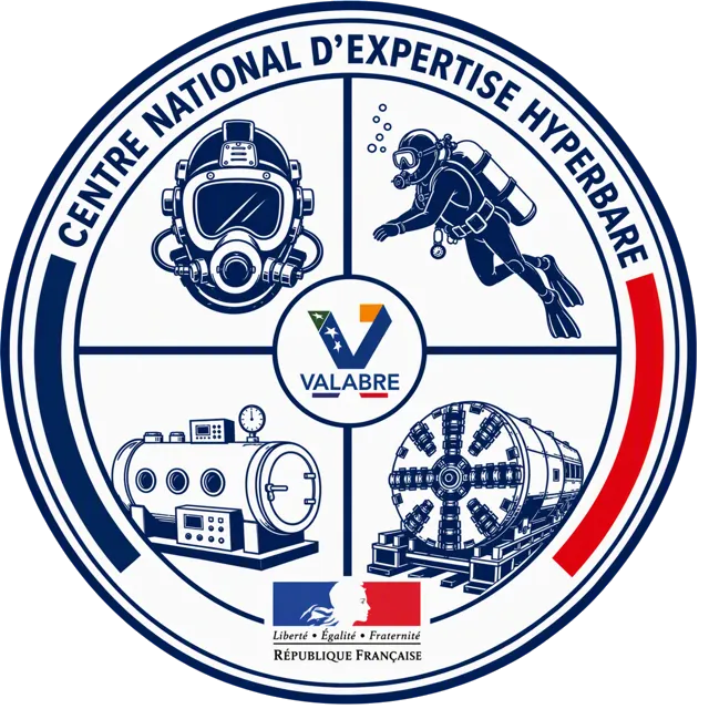 Logo du CNEH, quart de la mention D en surbrillance.